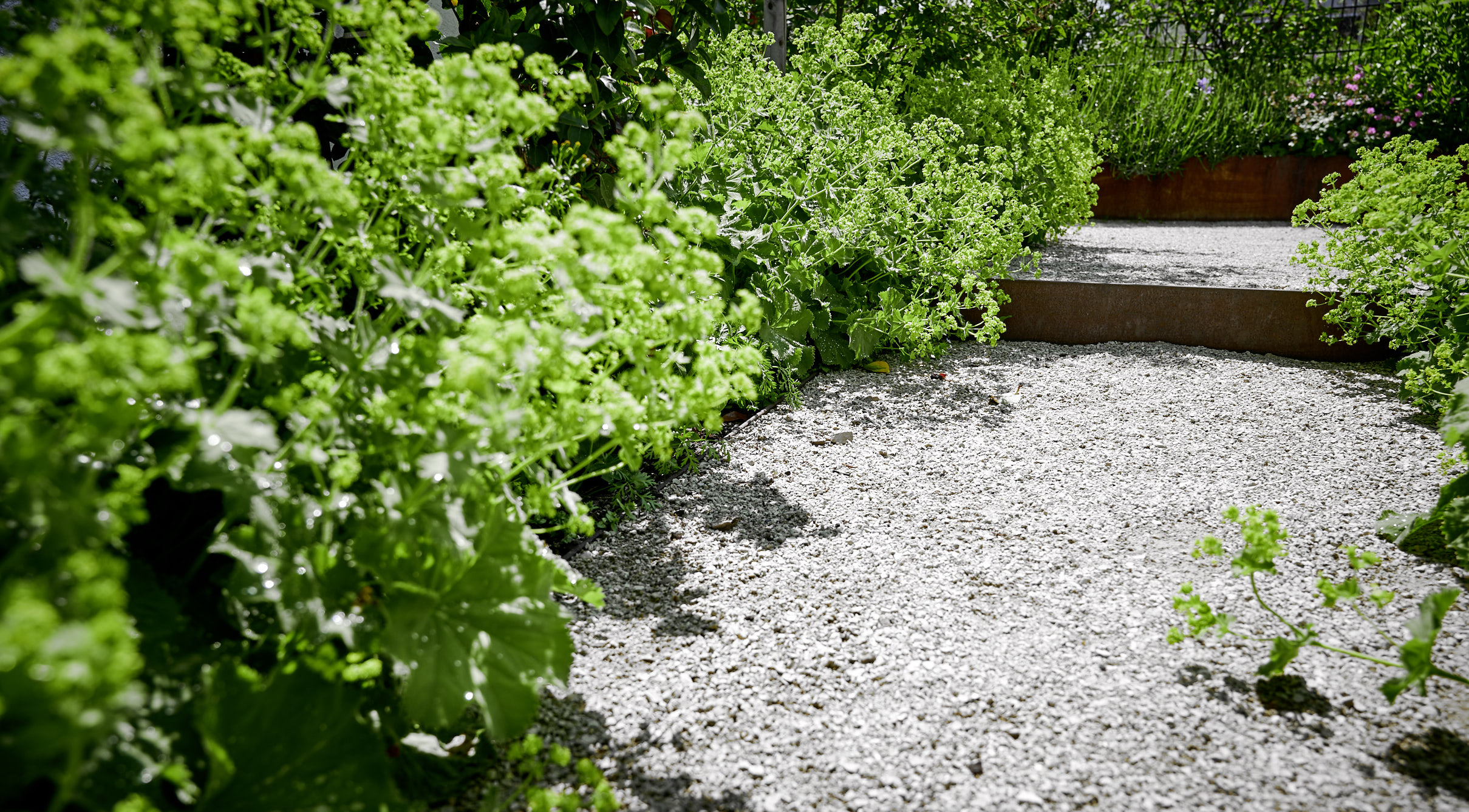 Garten 72 - Frei Raum Garten