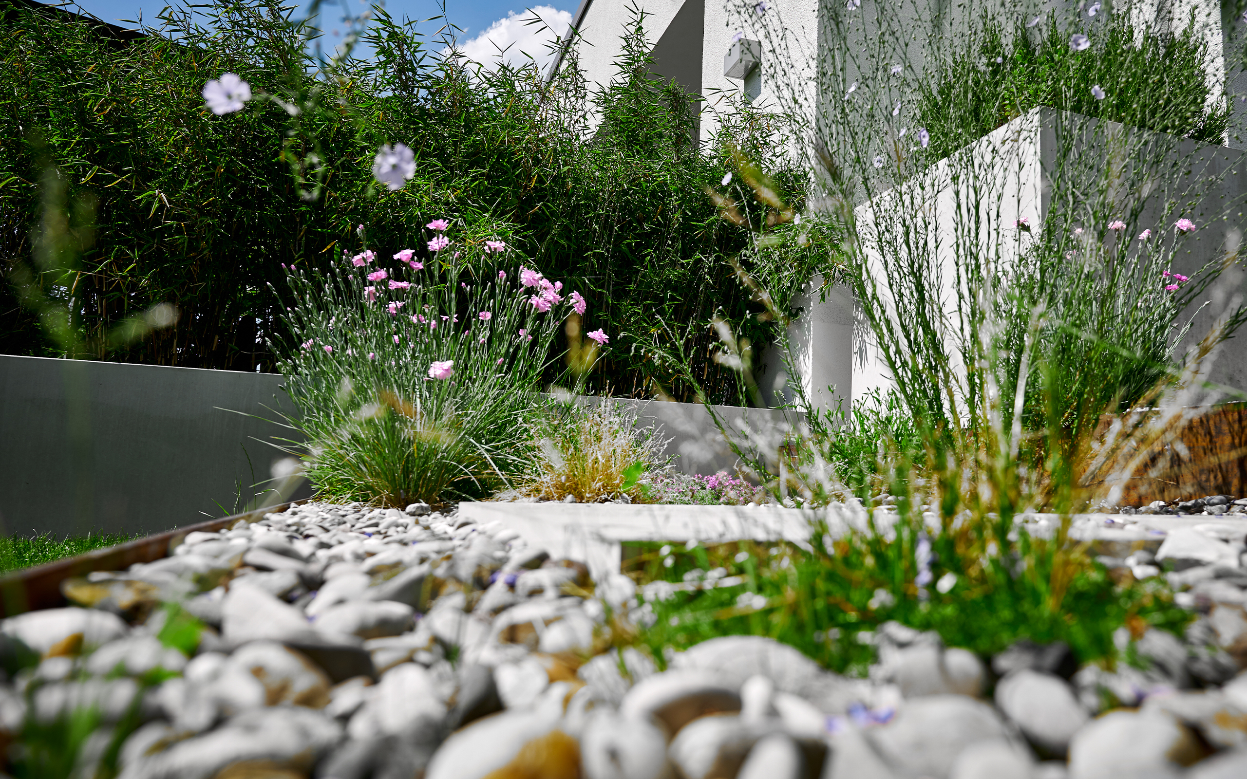 FRG_slider_umgestaltung